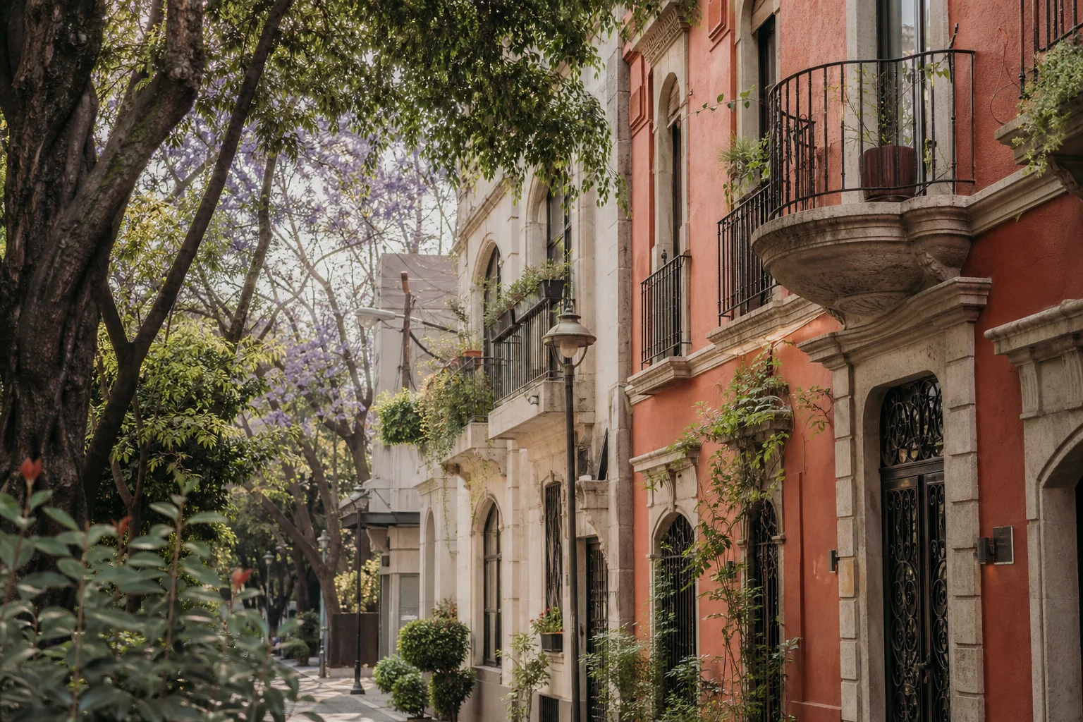 A leafy street with historic architecture in Mexico City