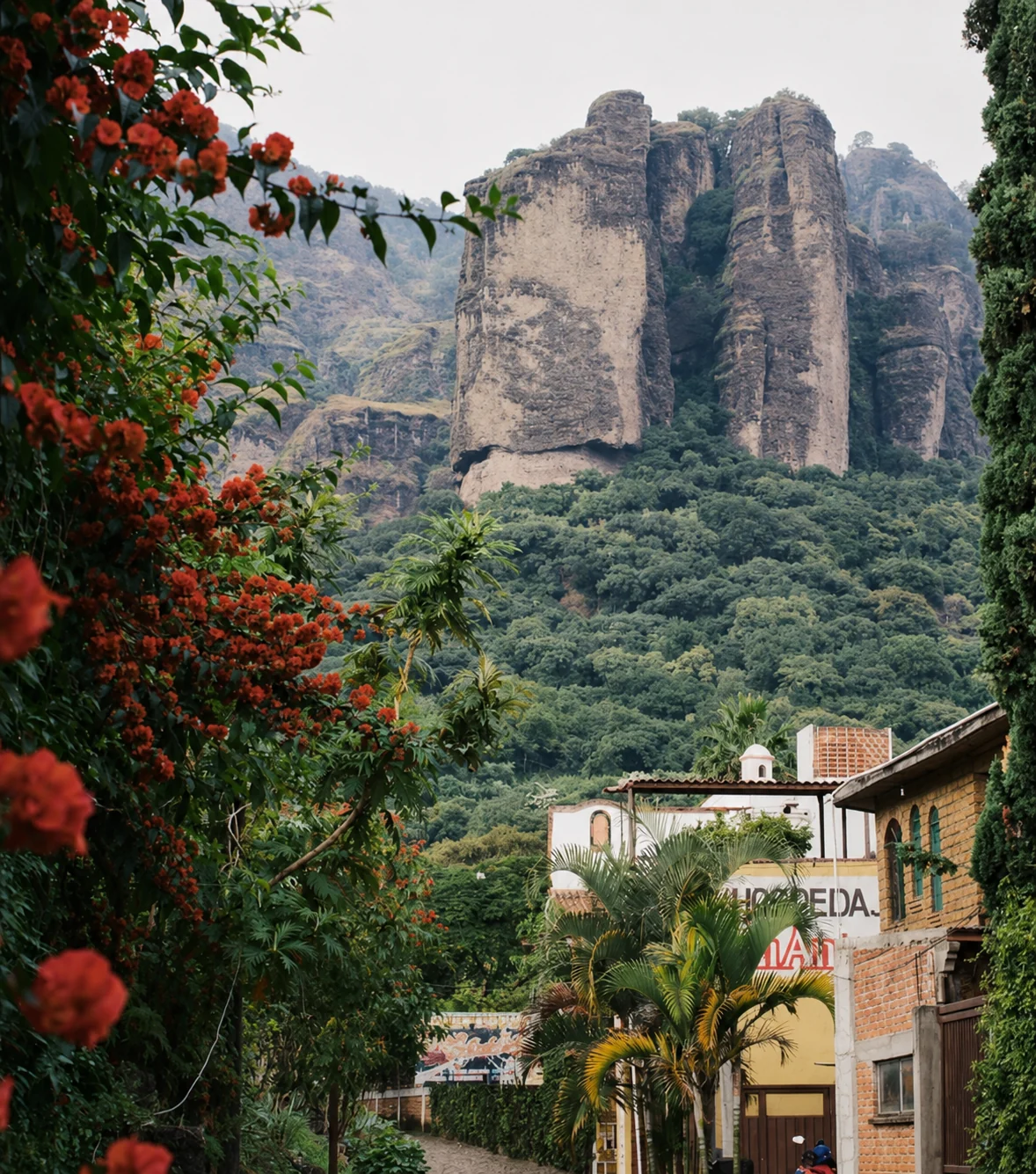 Tepozteco mountain framed by flowers and Tepoztlán streets
